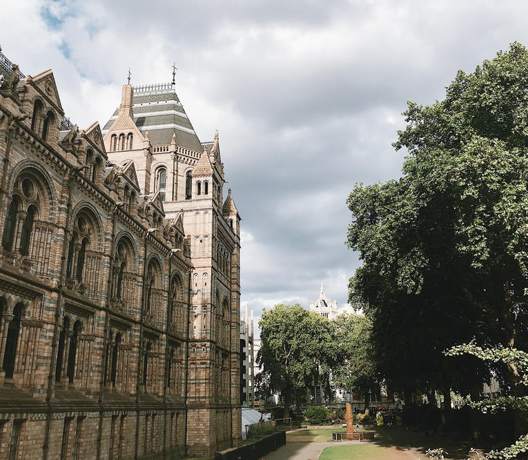 natural history museum
